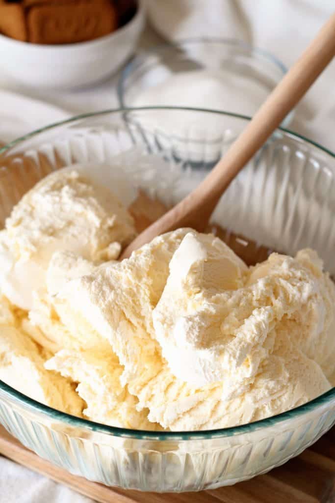 A bowl of vanilla ice cream with a wooden spoon.