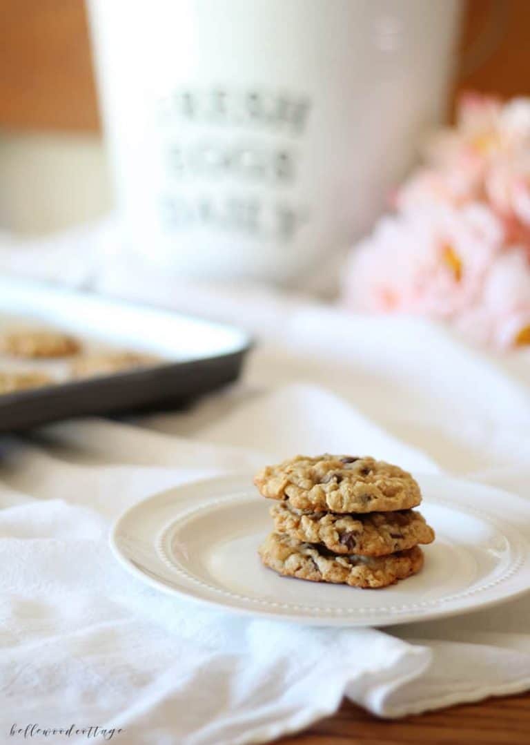 our favorite oatmeal chocolate chip cookies