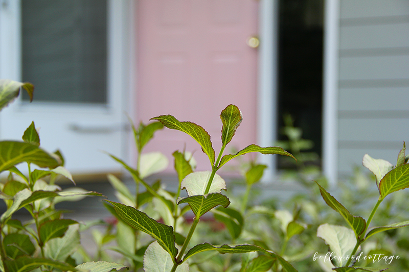 Want to know how to paint your front door? Learn how to choose the right color and add curb appeal with my easy to follow tips!