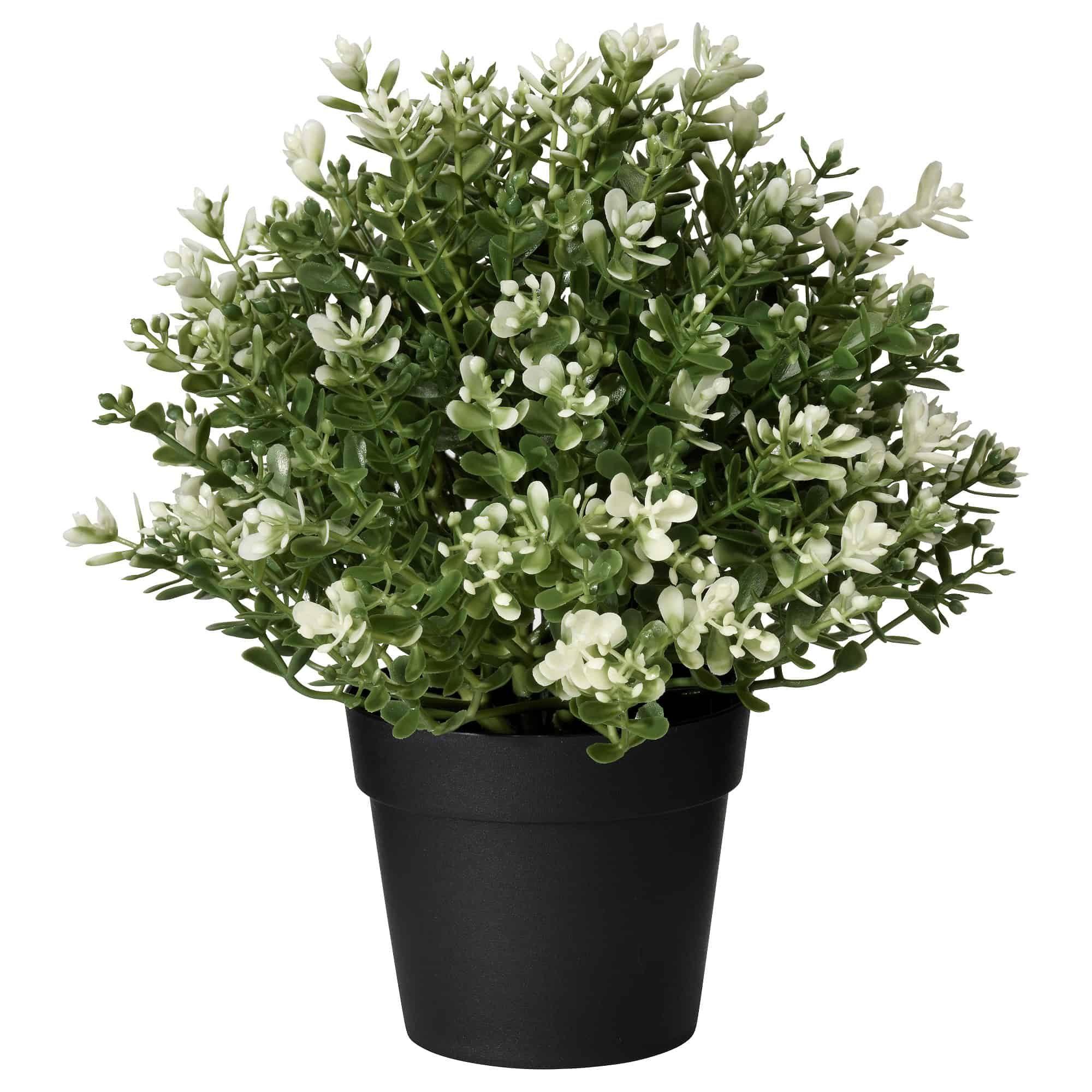 IKEA FEJKA thyme plant