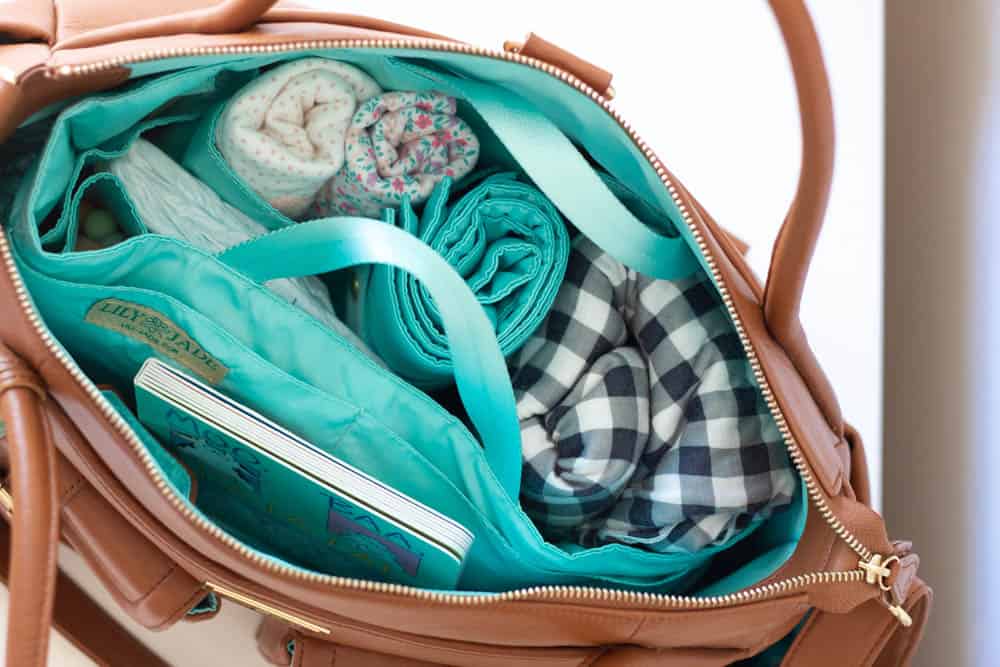 Lily Jade Baby Bag Organizer Review