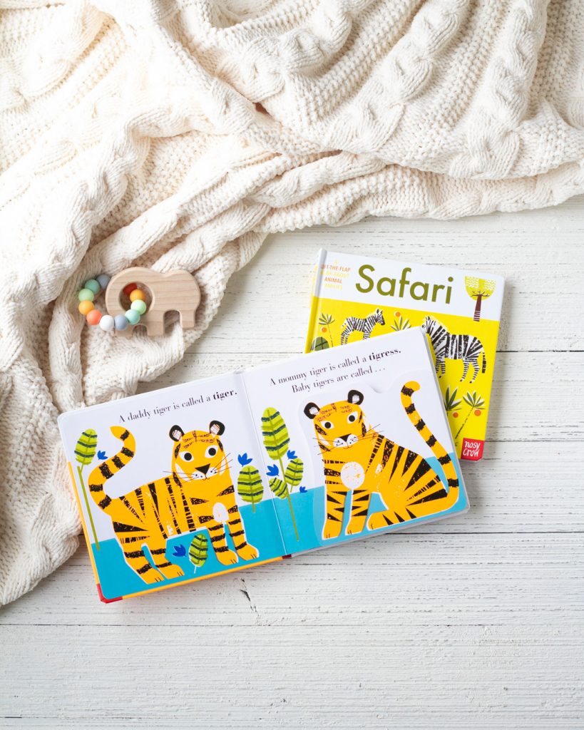 Two animal families board books from Nosy Crow, entitled "Jungle" and "Safari" on a wooden surface.