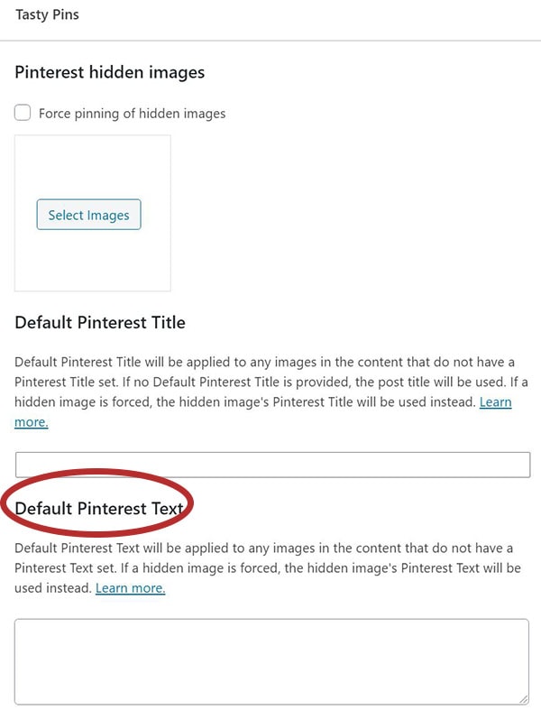 A screenshot of the Tasty Pins dialogue at the end of a Wordpress blog post with "Default Pinterest Text" circled in red.