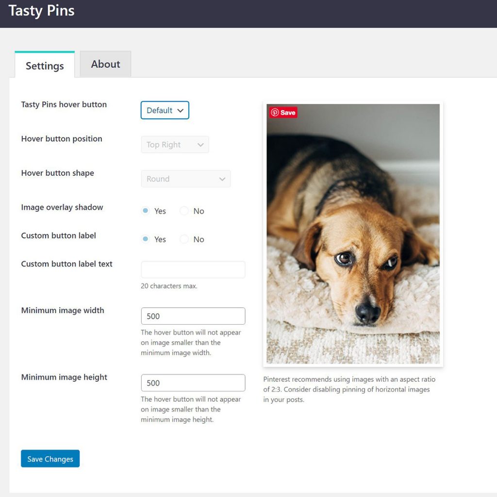 A screenshot of the Tasty Pins Wordpress Plugin hover button customization dialogue.