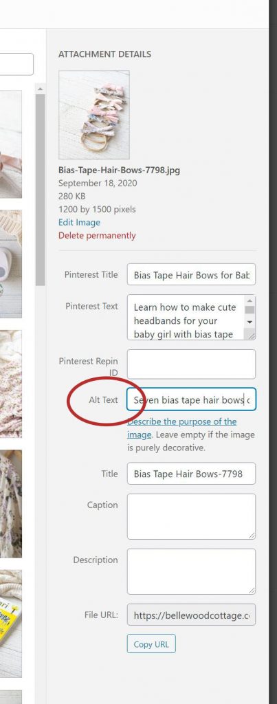 The Wordpress image dialogue with "alt text" circled.