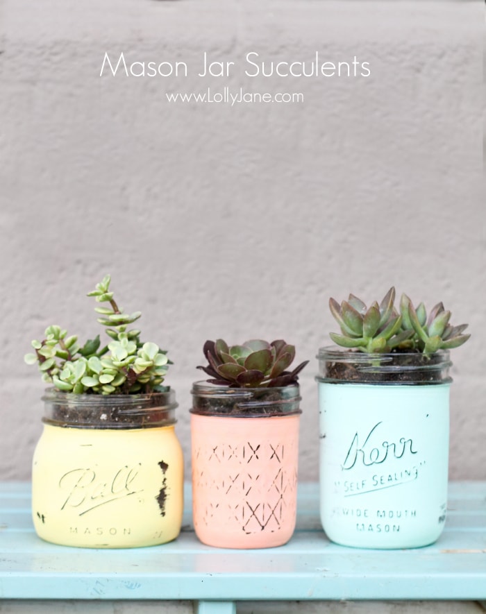 Three colorful painted mason jars in row with succulents planted inside.