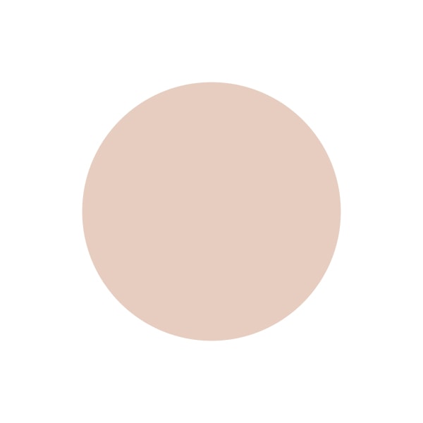 A paint swatch of Magnolia Ella Rose.