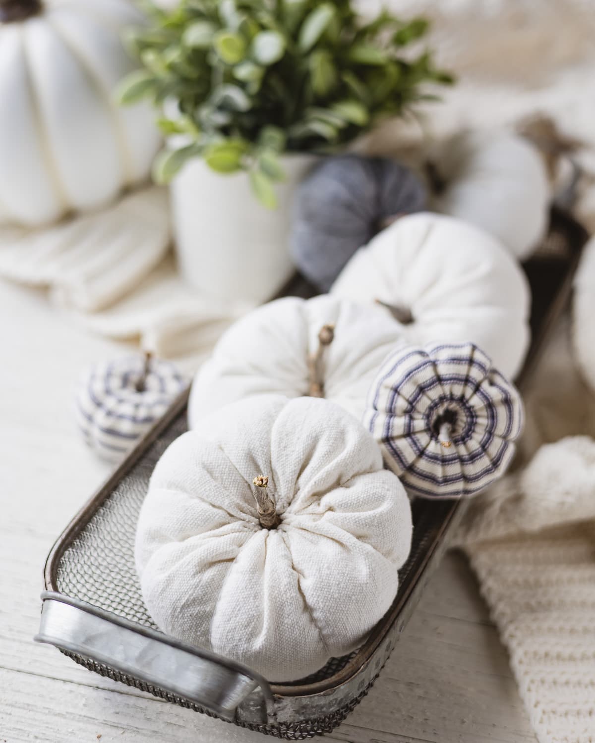 Drop cloth and ticking stripe pumpkins in a wire basket.