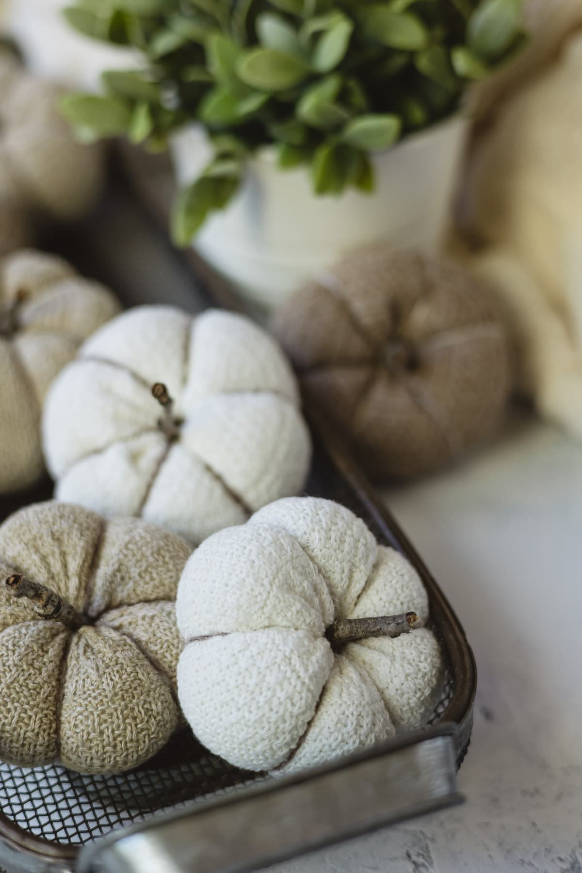 Brown and white DIY sock pumpkins arranged in a decorative basket.