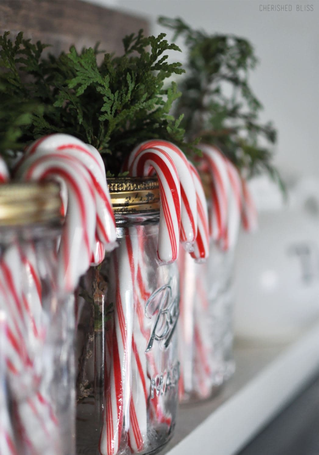 Candy canes and evergreen inside mason jars.