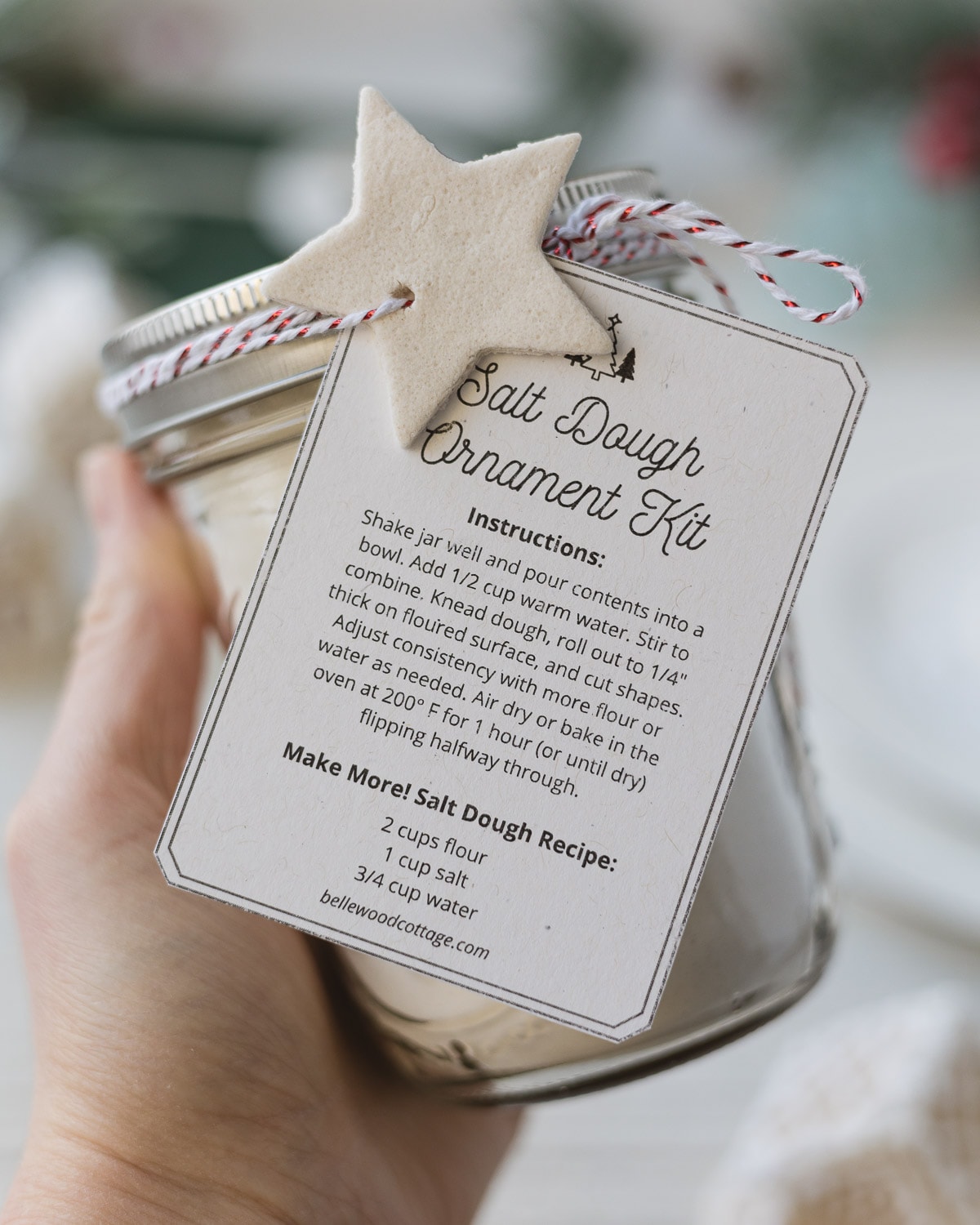 A hand holding a DIY salt dough ornament kit with a gift tag attached.