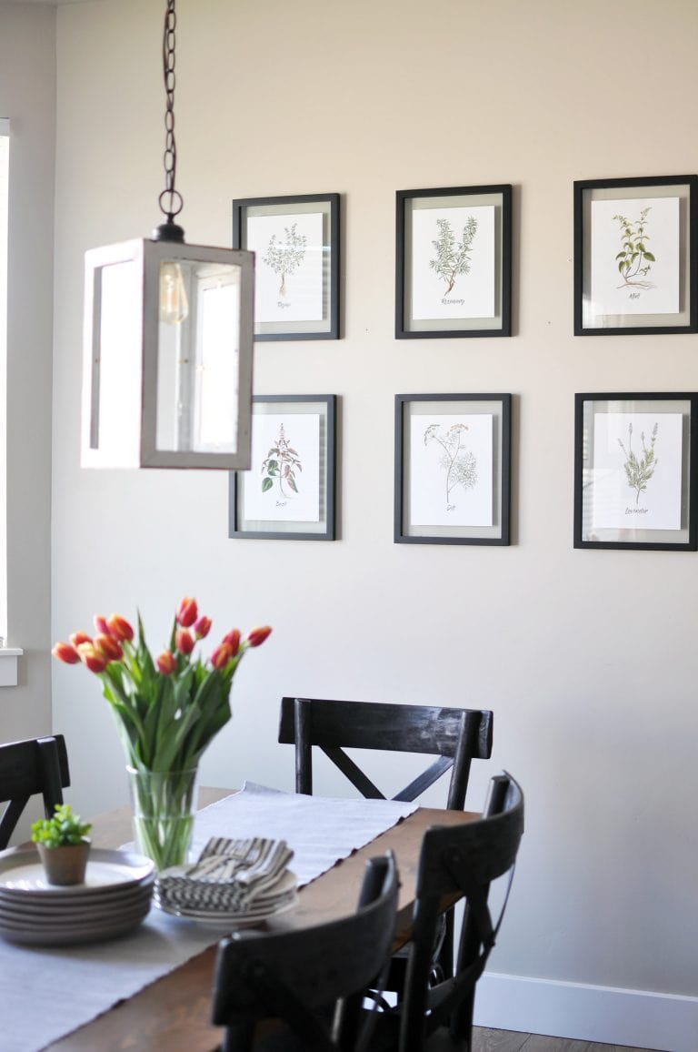 A gallery wall of herb prints in a dining room.