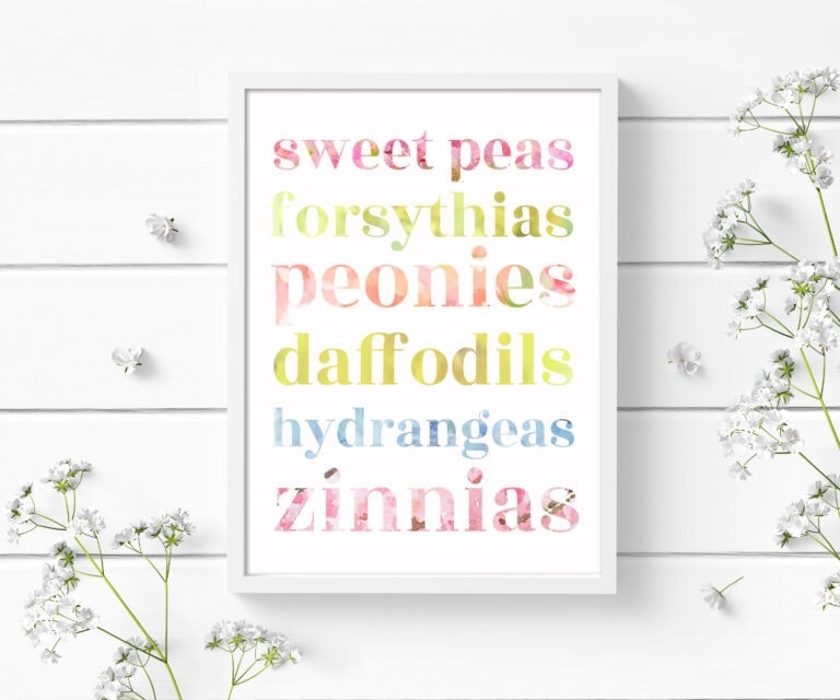 A framed printable with flower names in various colors.