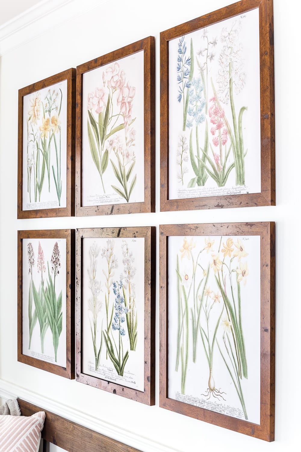 Six framed spring botanical prints on a gallery wall.
