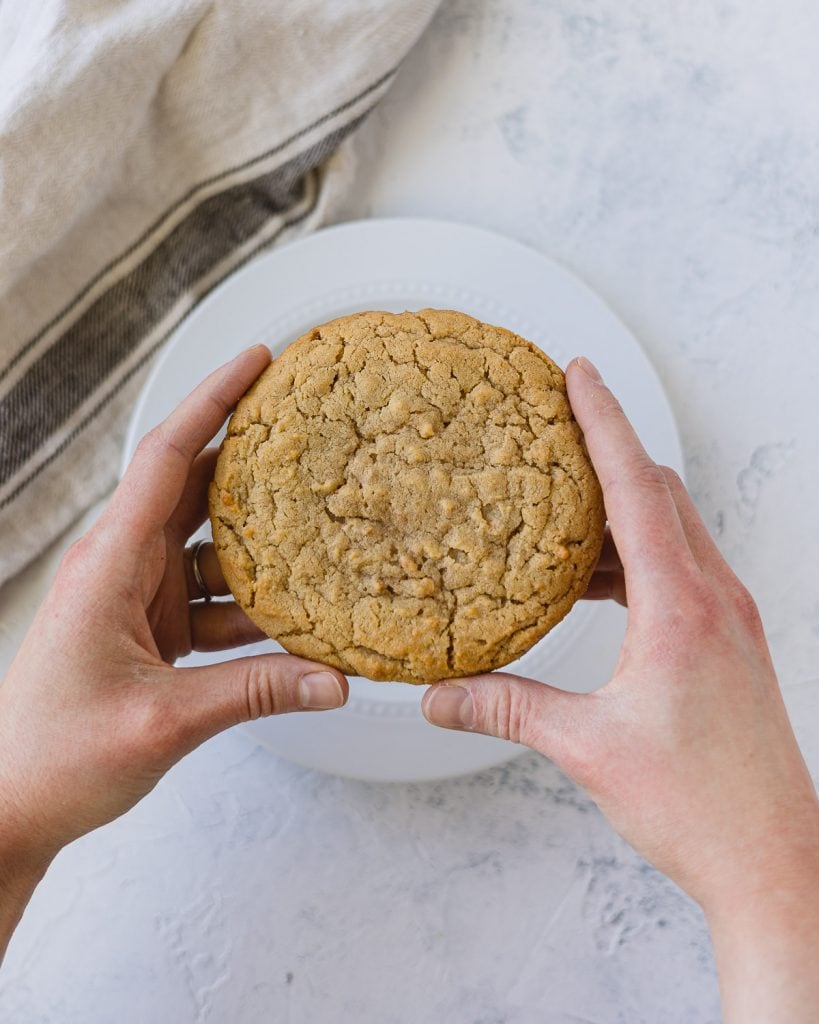 Hands holding a large single peanut butter cookie.