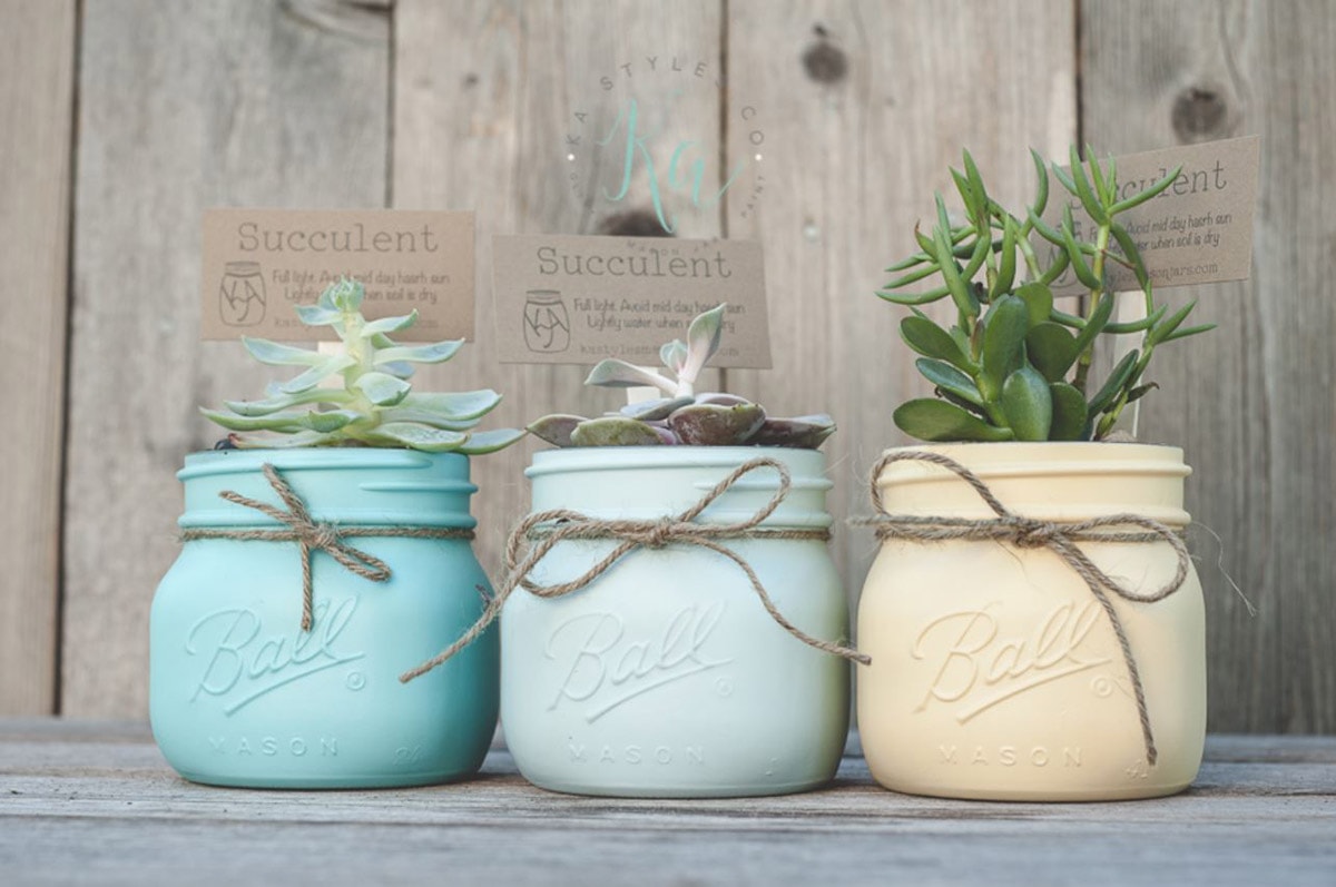 Three small mason jars painted and filled with succulents.