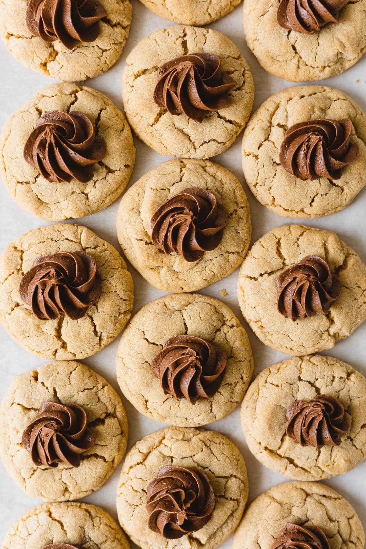 Crackled peanut butter cookies topped with swirls of fudge frosting.