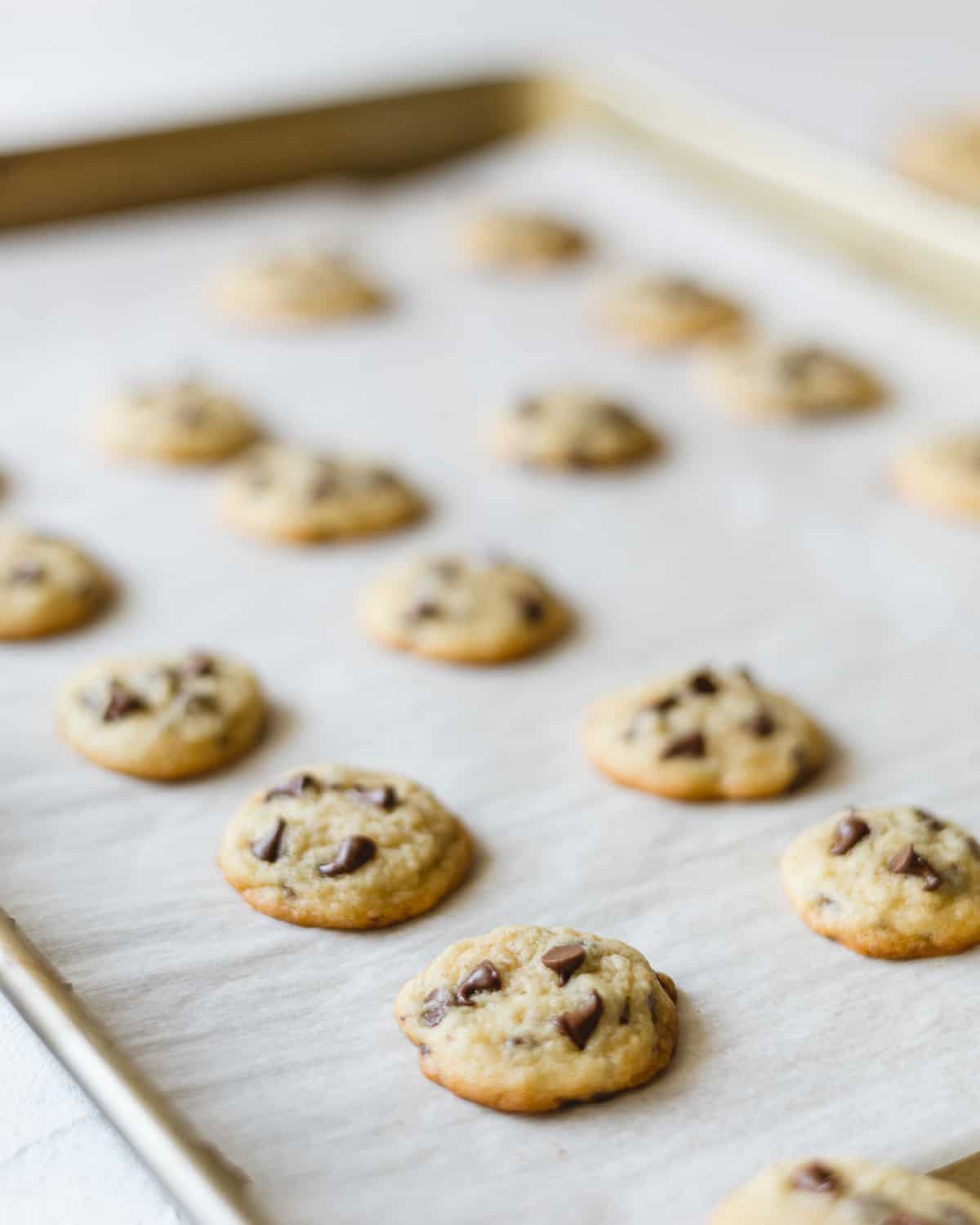 Tiny chocolate chip cookies on a parchment-lined baking sheet.