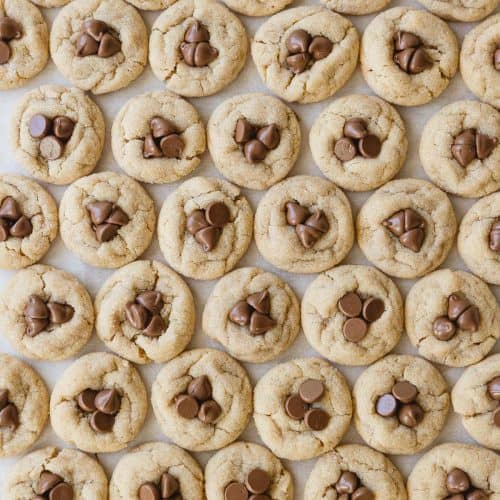 Rows of mini peanut butter cookies with three milk chocolate chips pressed into the center of each cookie.