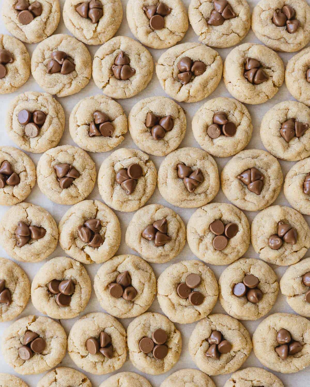 Rows of mini peanut butter cookies with three milk chocolate chips pressed into the center of each cookie.