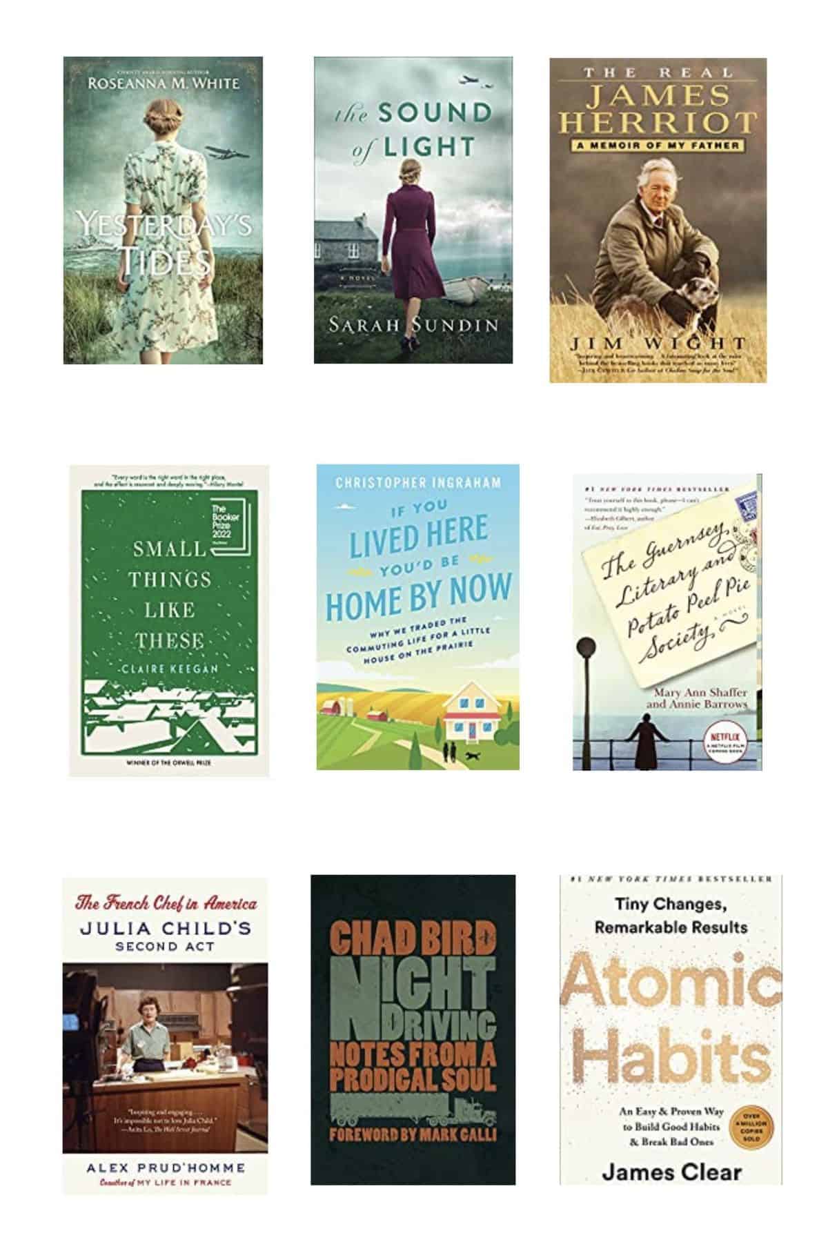 My Maternity Leave Booklist
