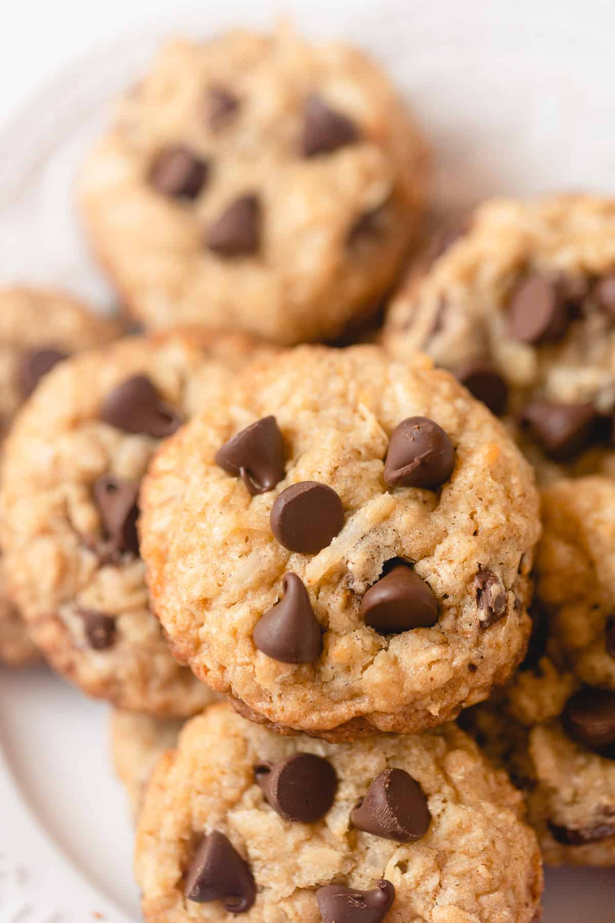 Coconut oatmeal chocolate chip cookies arranged on a plate.