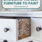 A painted dresser with stenciled interior drawer with the words, "Beginner's Guide: Choosing the Best Furniture to Paint".